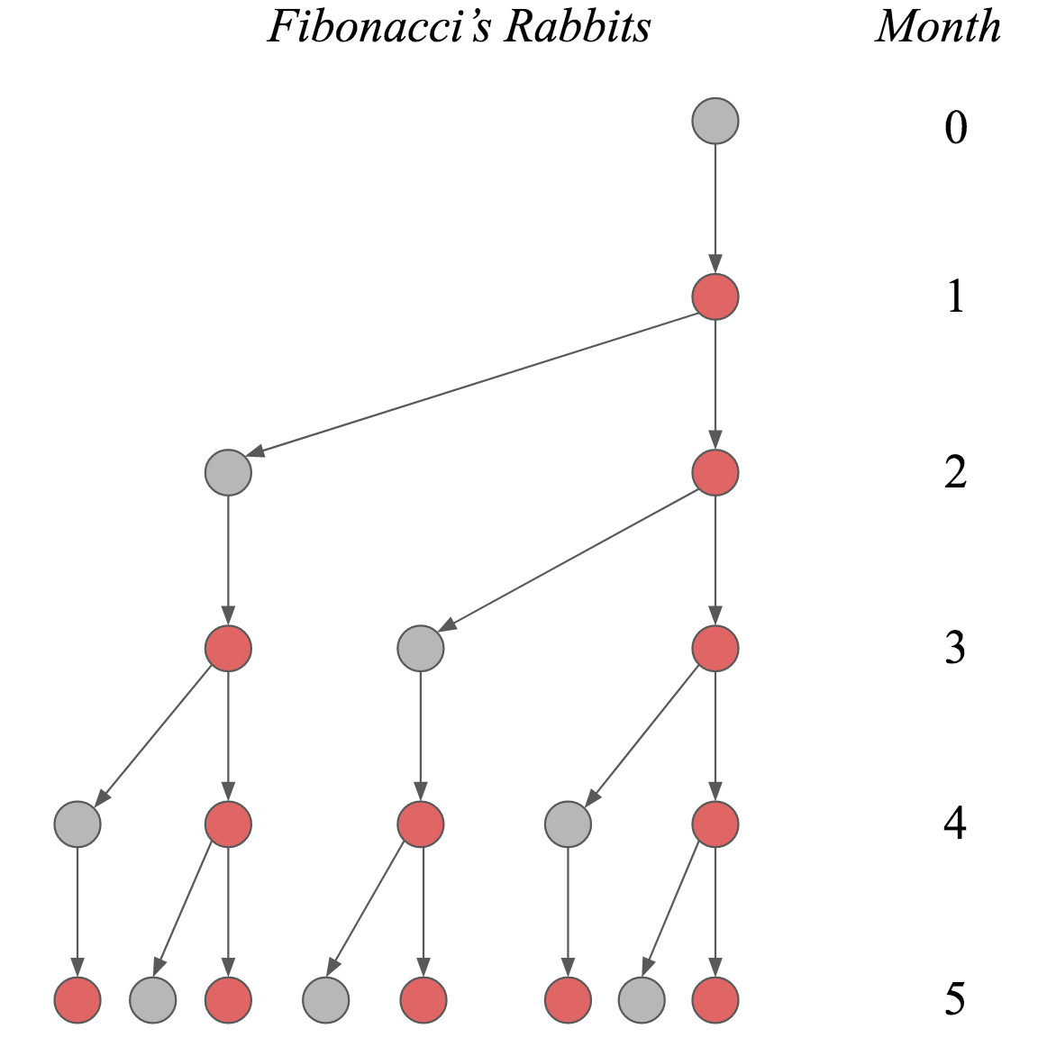 fibonacci rabbit